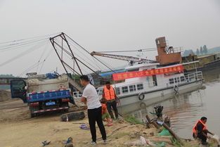 固镇县畜牧兽医水产局积极开展渔业资源增殖人工放流活动 助力畜牧渔业饲料销售新篇章