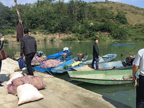 贵州安顺市畜牧兽医局开展渔业船舶安全生产隐患大检查 筑牢畜牧渔业饲料销售安全防线