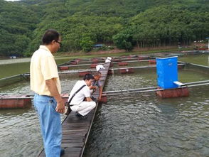 科技赋能促发展 云南省淡水渔业产业体系营养与饲料岗位团队赴墨江专题调研