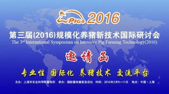 第十二届中国畜牧饲料科技与经济高层论坛大师对话 探索畜牧渔业饲料销售新路径