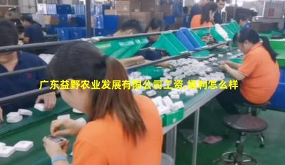 广东益野农业 领航畜牧渔业饲料销售，助推现代农牧业发展